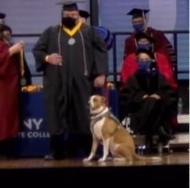photo of sandi the dog accompanying her owner on stage at graduation