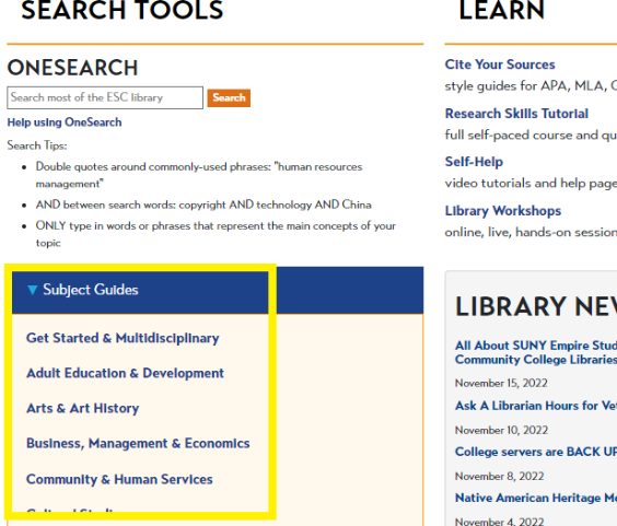 photo of library website