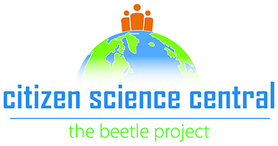 Citizen Science Central The Beetle Project